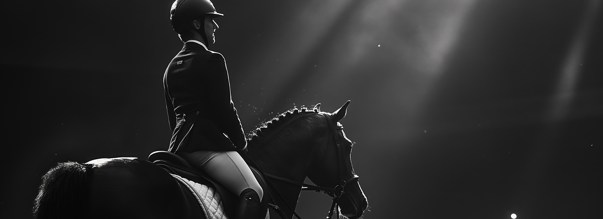 Horse jumping at a competition